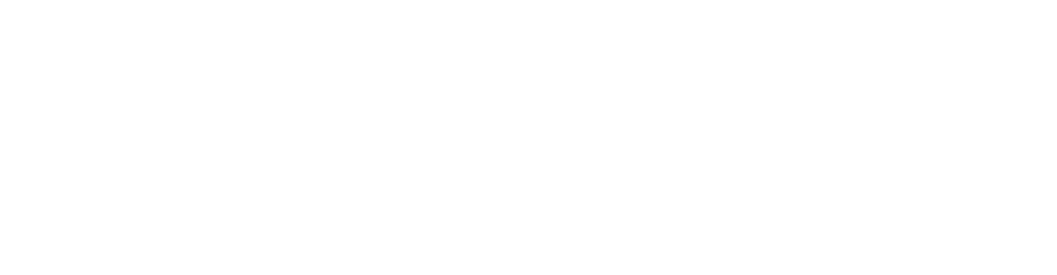 Benchmark Network Solutions logo